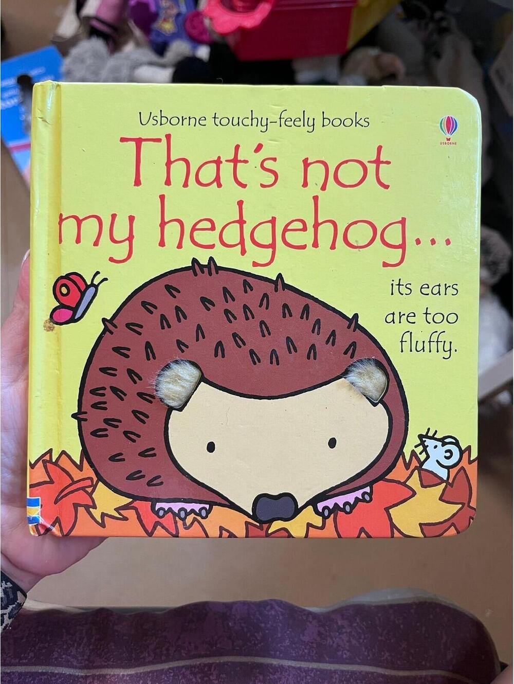 Usborne- That’s not my Hedgehog